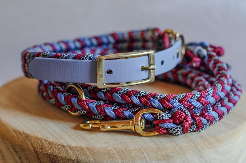 Einzelstück Halsband & Leine