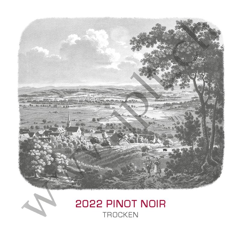 Pinot Noir - private Kollektion, 2022 (Box à 6 Fl. à 75 cl)