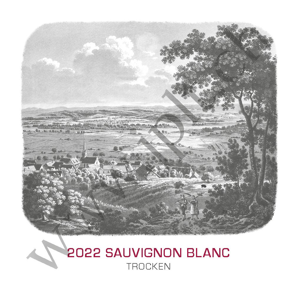 Sauvignon Blanc - private Kollektion, 2022 (Box à 6 Fl. à 75 cl)