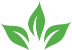 Z Glow Skincare
