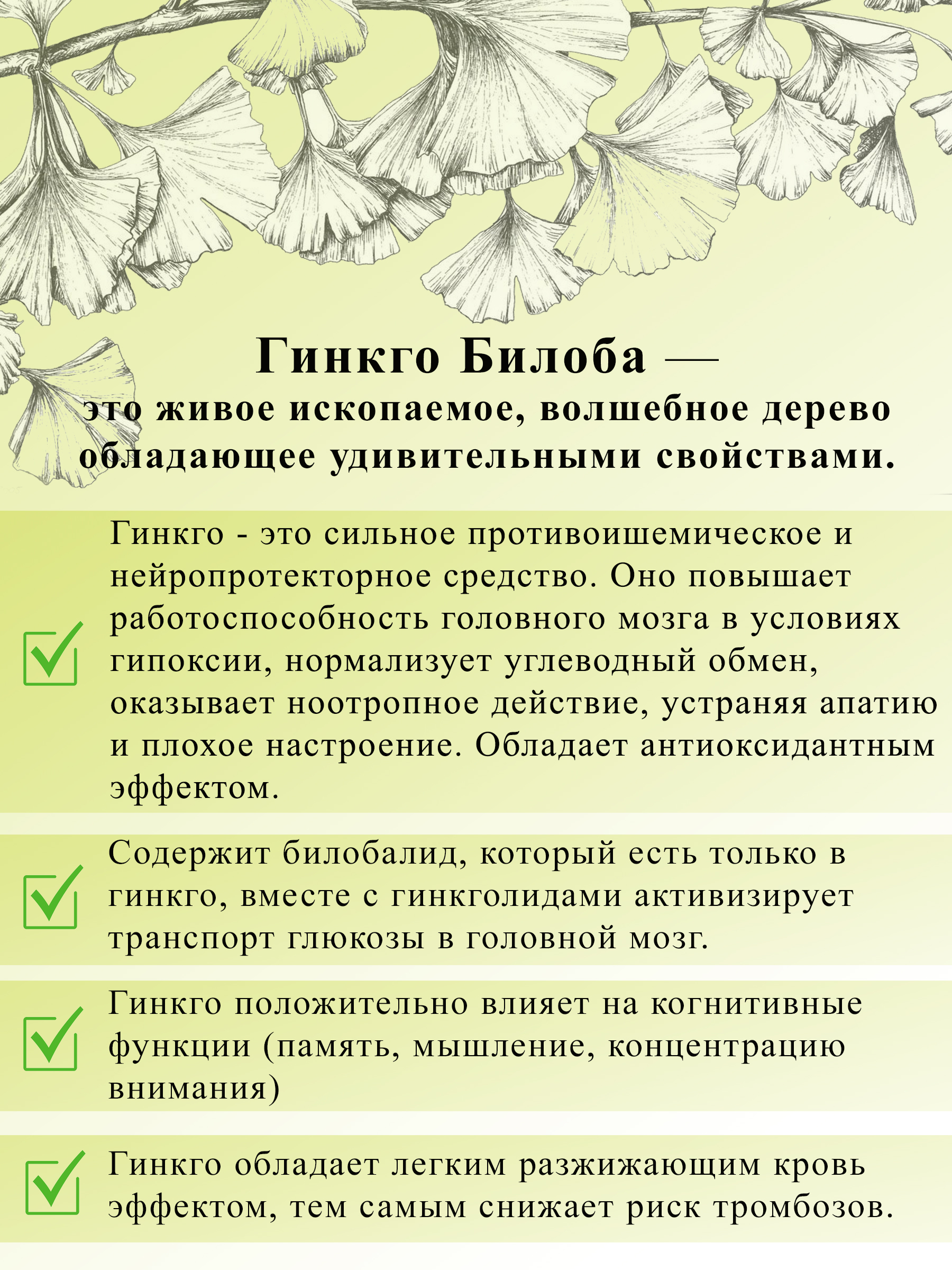 Гингобелоба Инструкция По Применению Цена