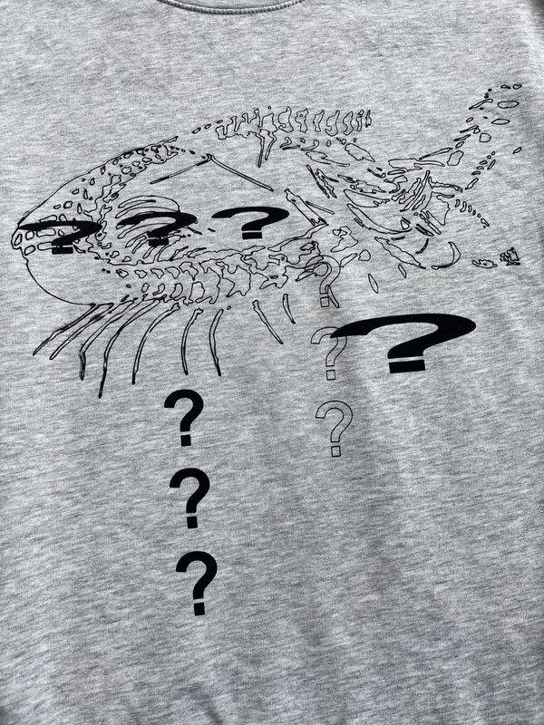 Sweatshirt oversize « ??? »