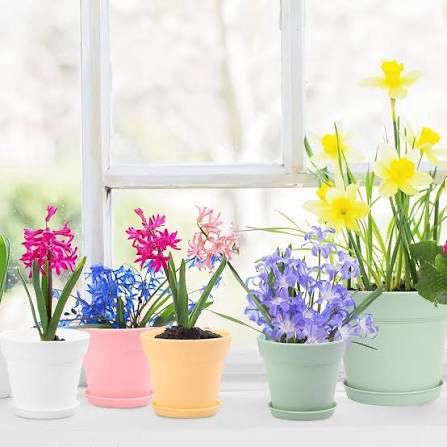 Flowerette 12 Month Advent Calendar