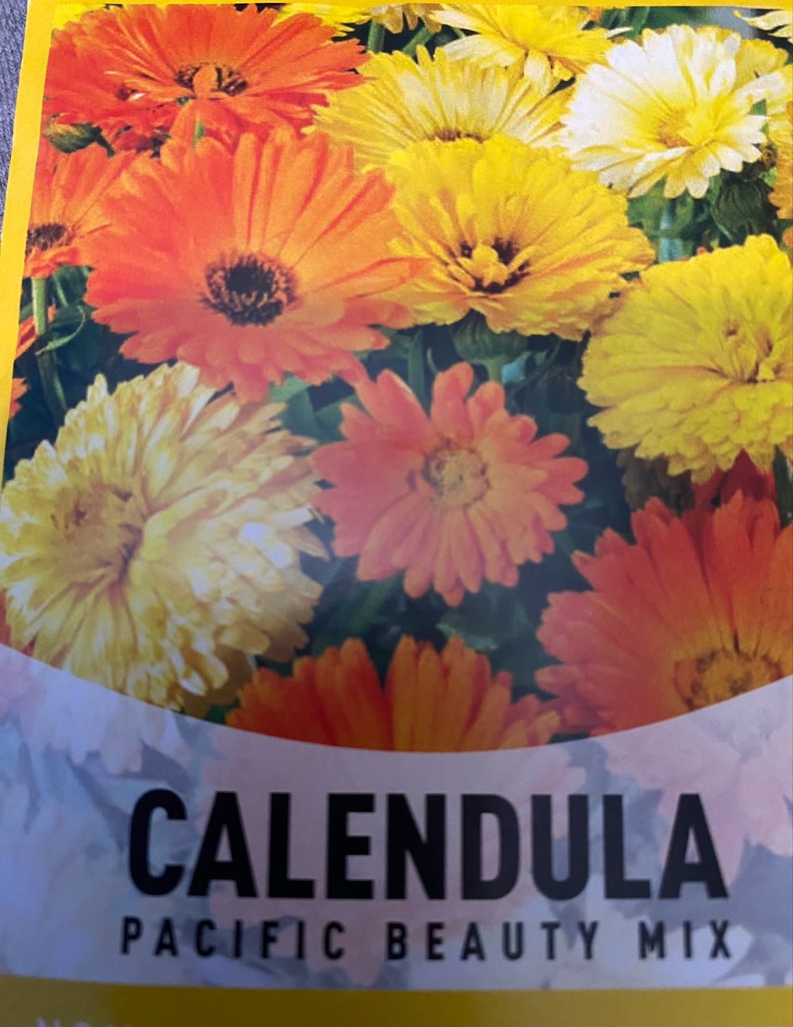 Calendula Pacific Beauty Mix Annual Flat
