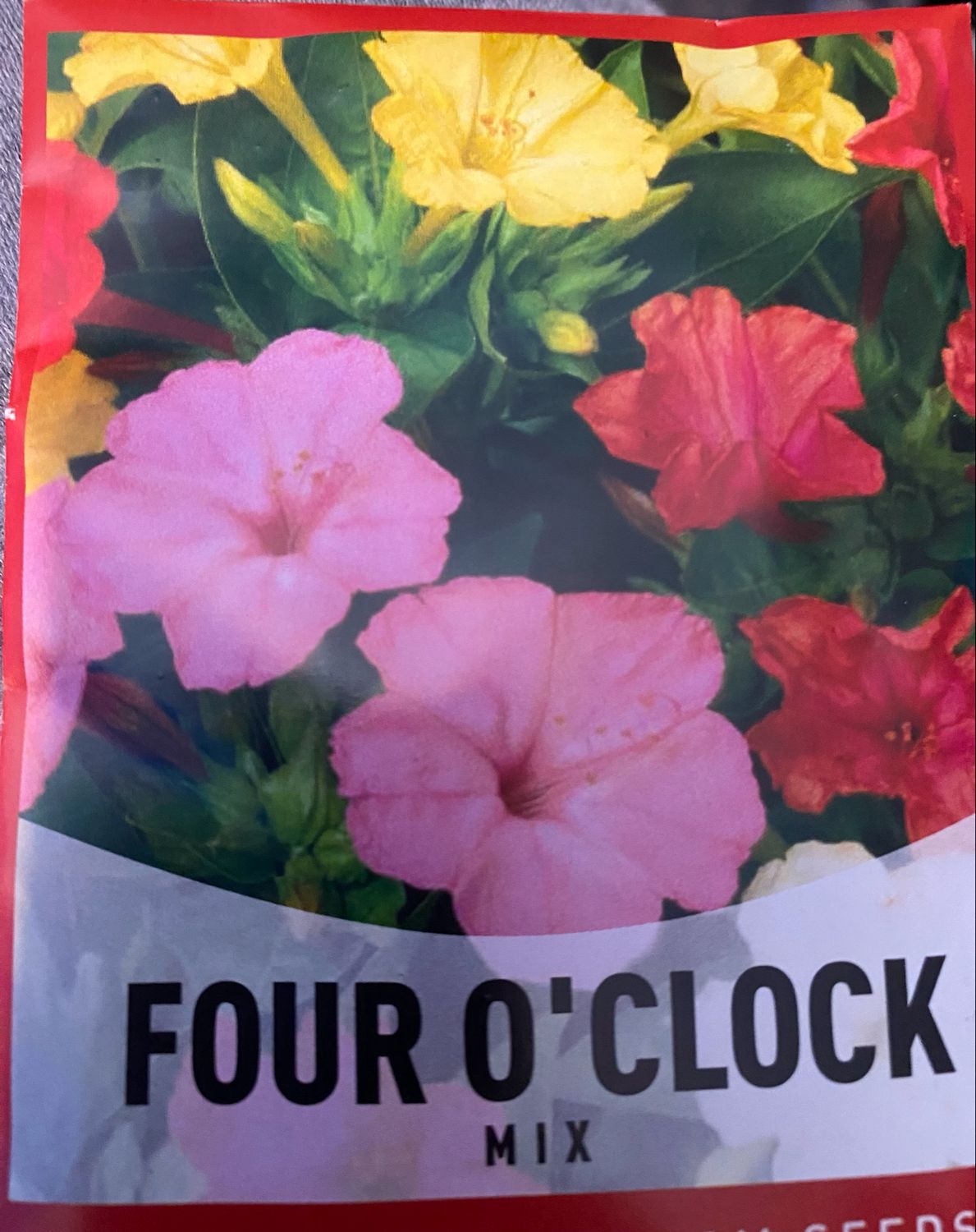 Four O’Clock Mix Annual Flat