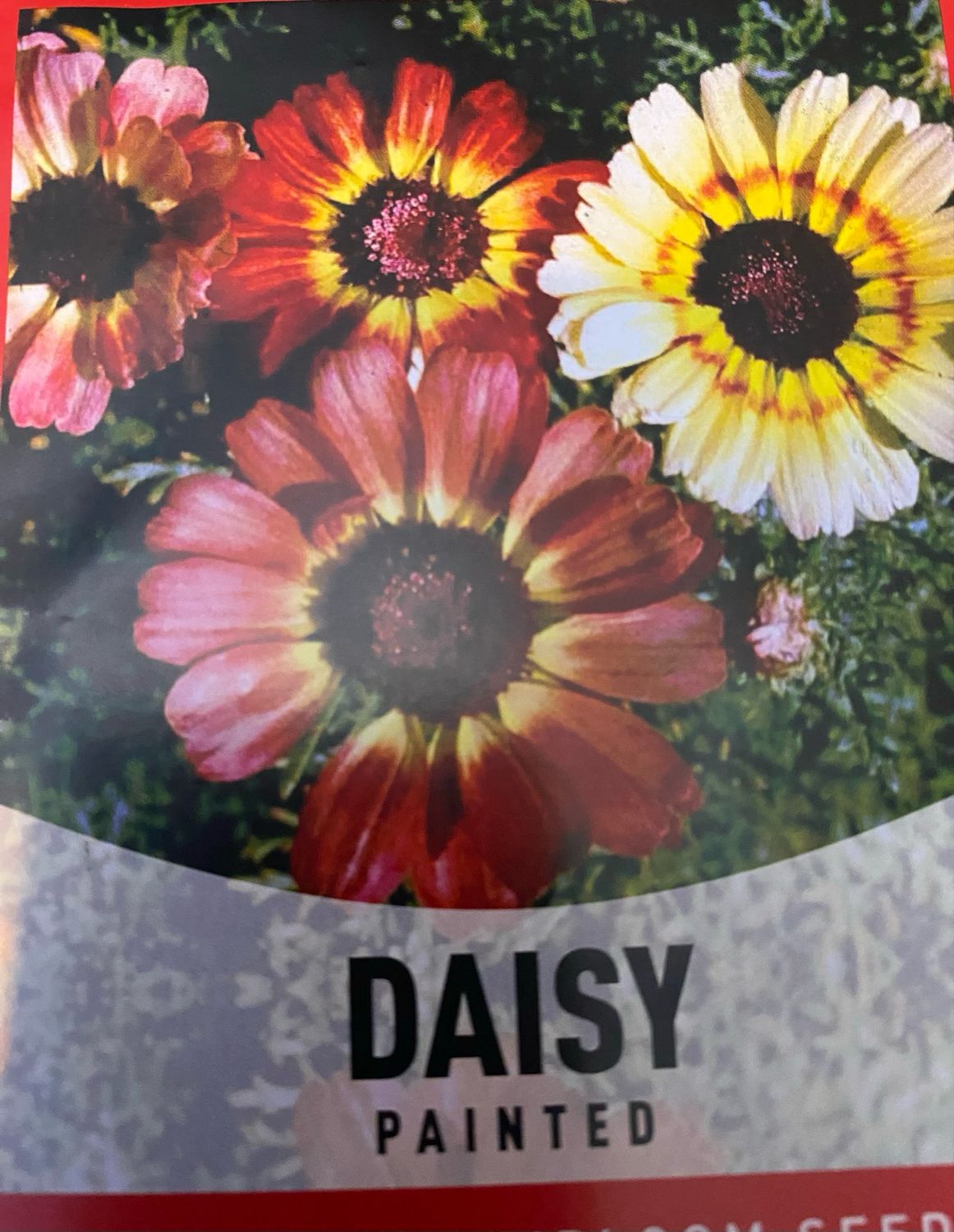Daisy Painted Starter Plug