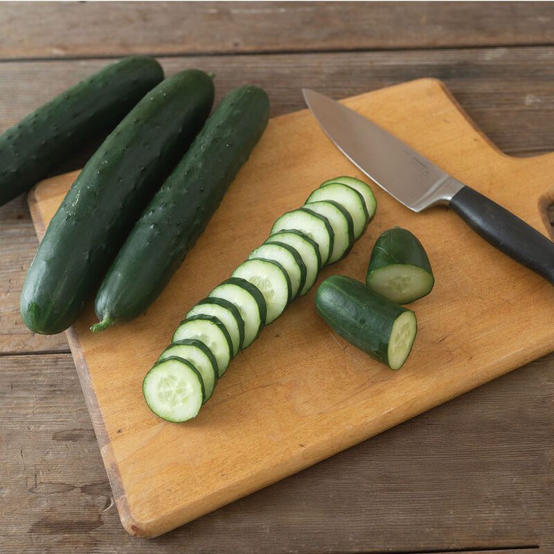 Cucumber Starter Plug