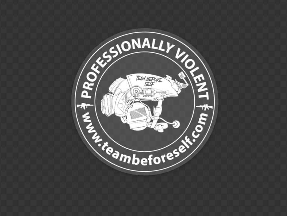 TBS 4” Professionally Violent Decal