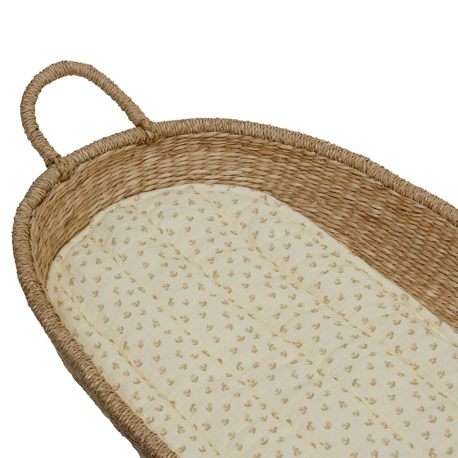 Cotton Liner Leafed Mushroom