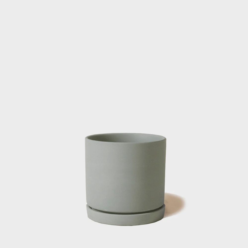 Dojo Pot and Saucer 3", Color: olive