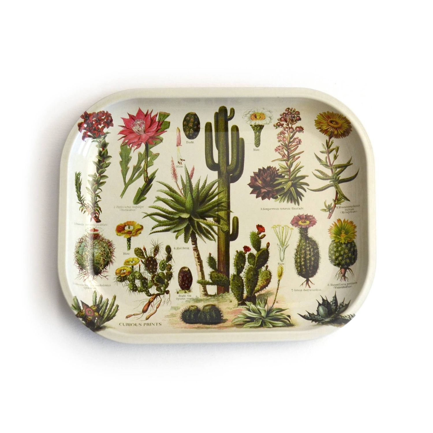 Small Metal Ritual Tray | Cacti