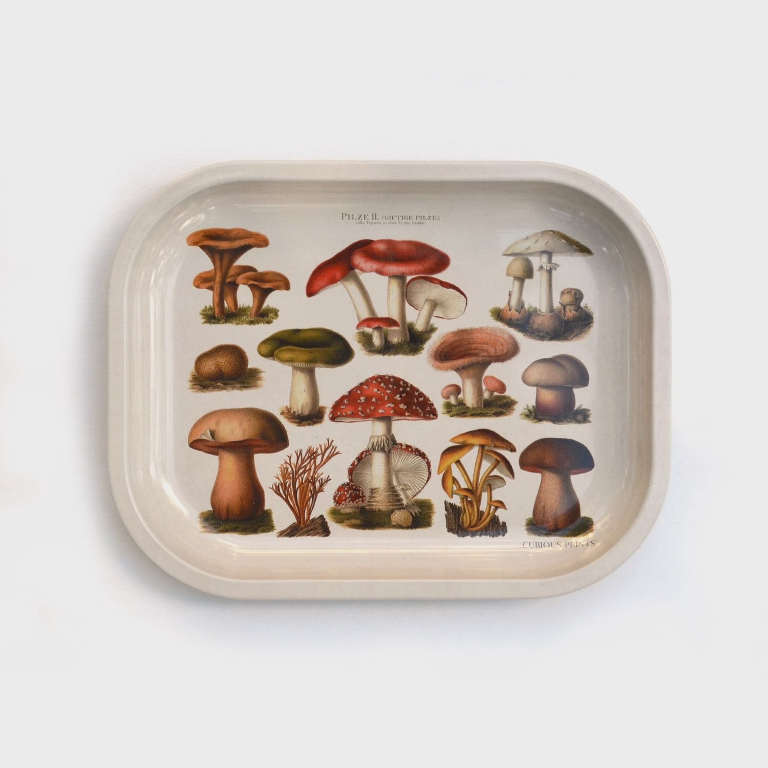 Small Metal Ritual Tray | Mushrooms (cream)