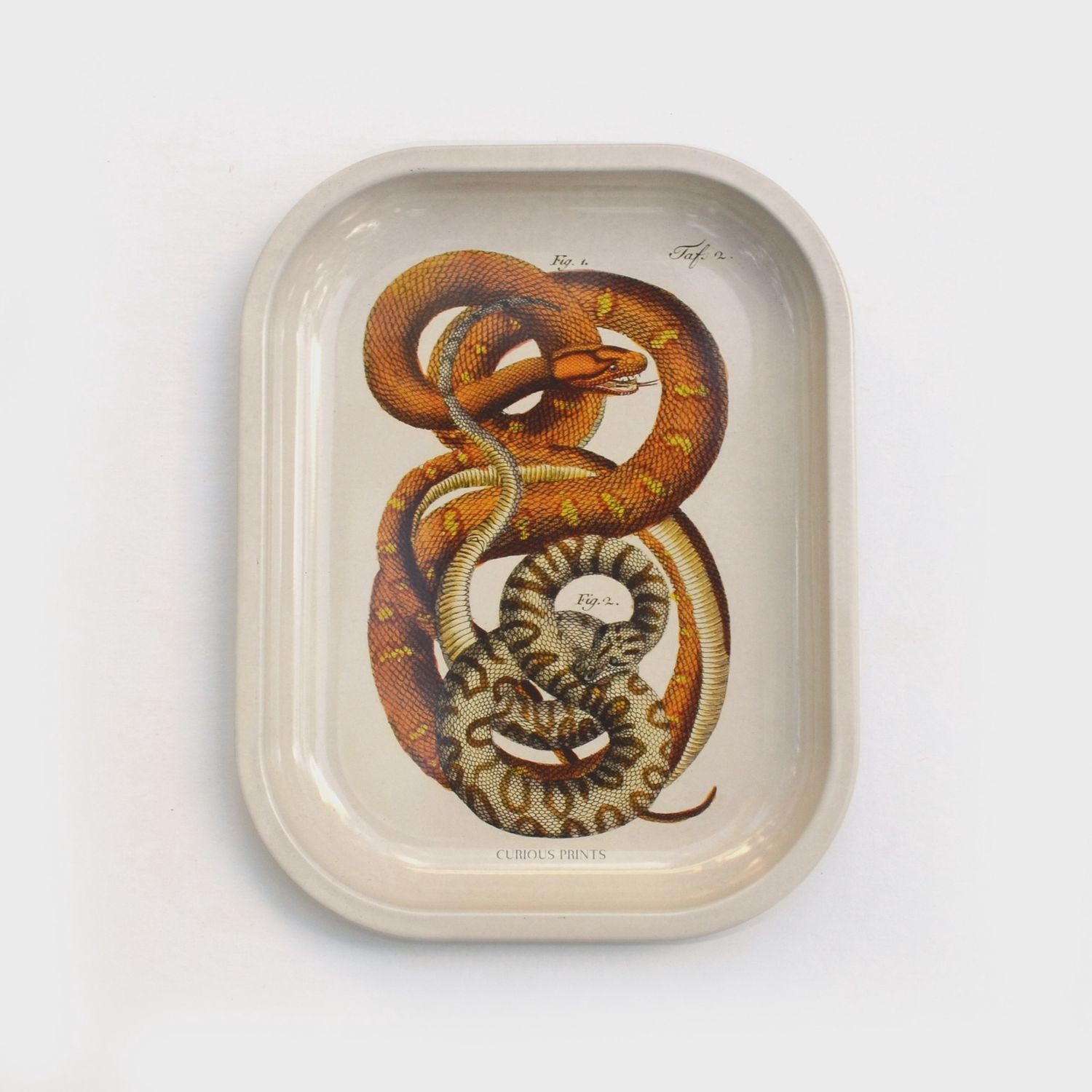 Small Metal Ritual Tray | Snakes