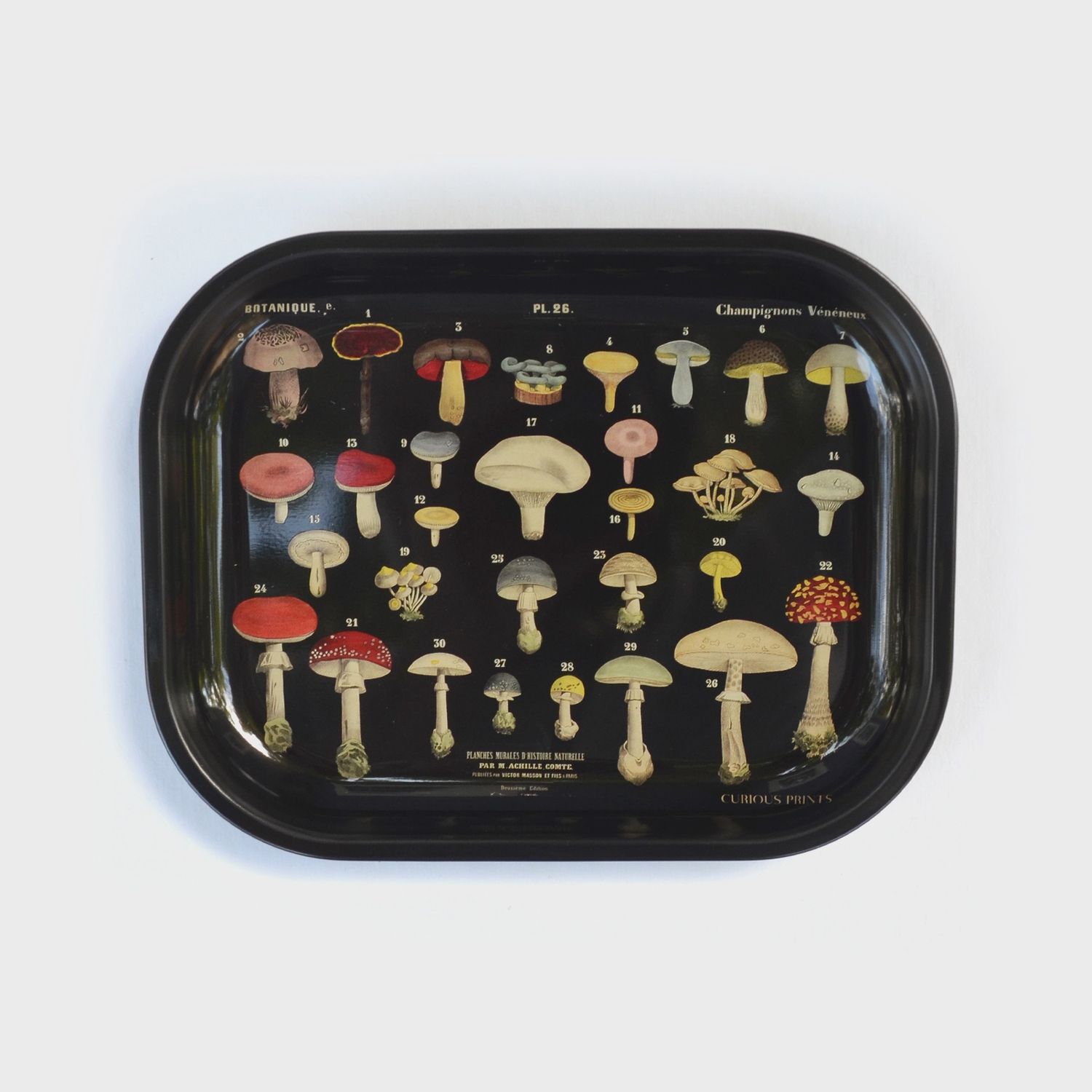 Small Metal Ritual Tray | Mushrooms (black)