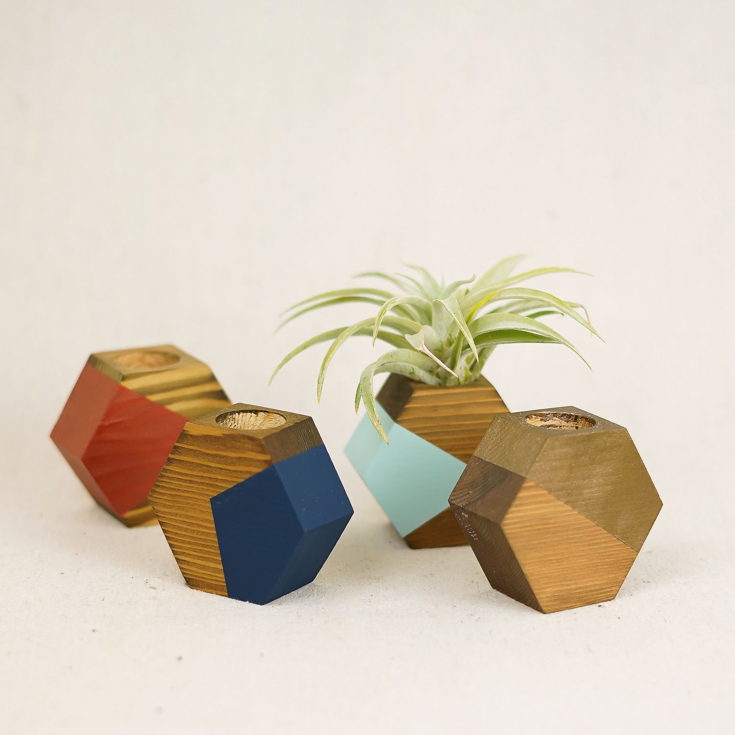 hexagon air plant holder
