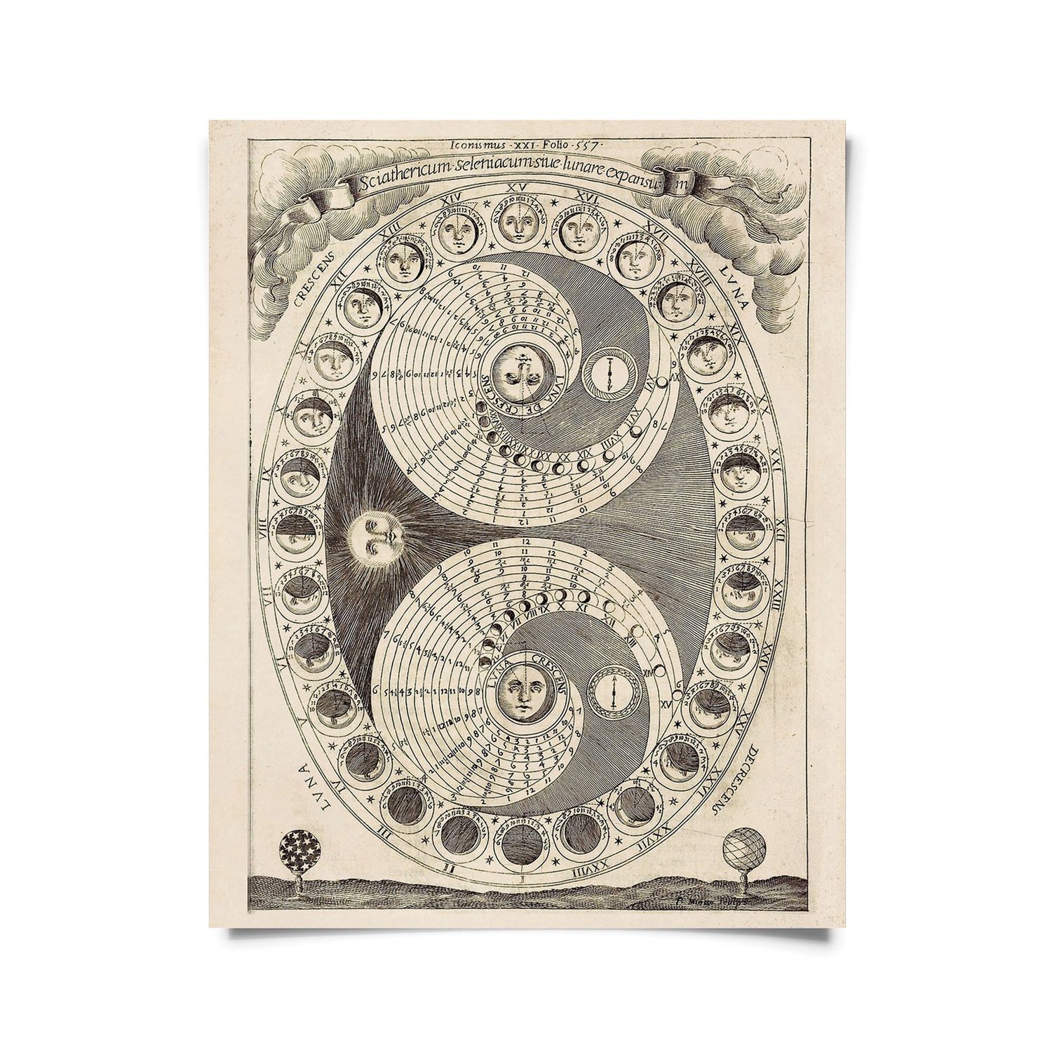 moon phases print