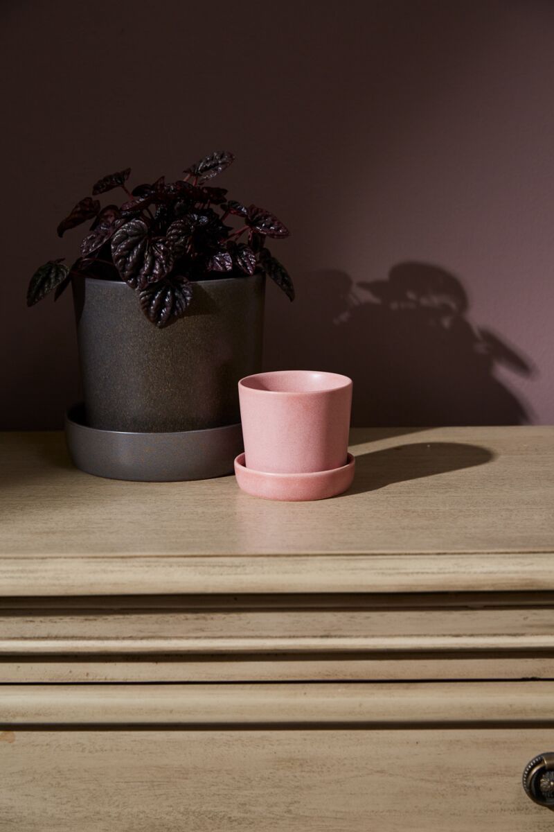 Watson Pot | Pink