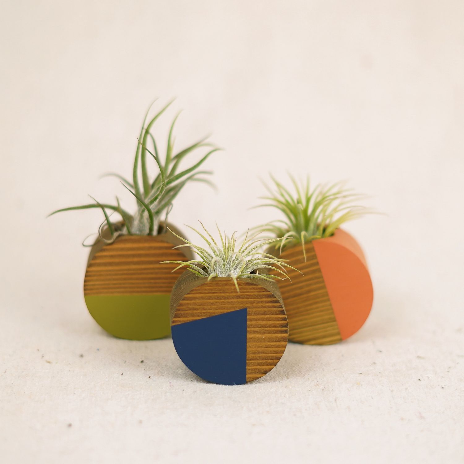 round magnetic air plant holders