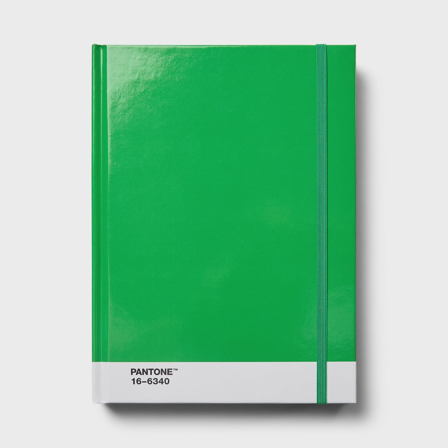 Large Notebook / Pantone, Color: Green
