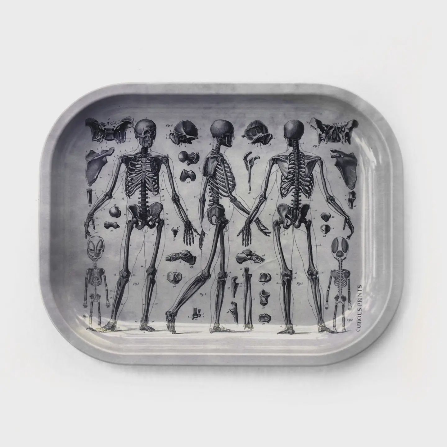 Small Metal Skeleton Diagram Trinket Tray / Grey