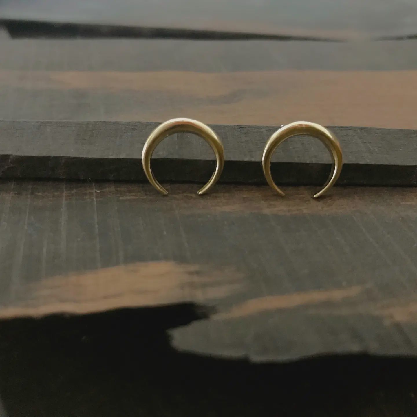 Crescent Horn Post Earrings