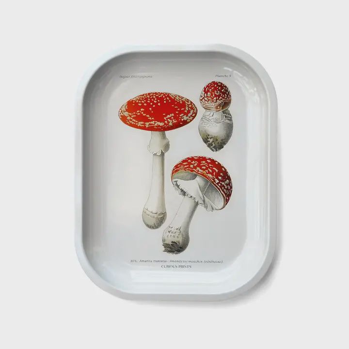 Small Metal Ritual Tray | Magic Mushrooms