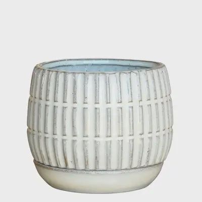 ramos pot, Size: 2.5"