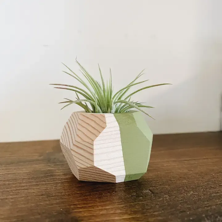 Small Geo Airplant Holder, Color: painted