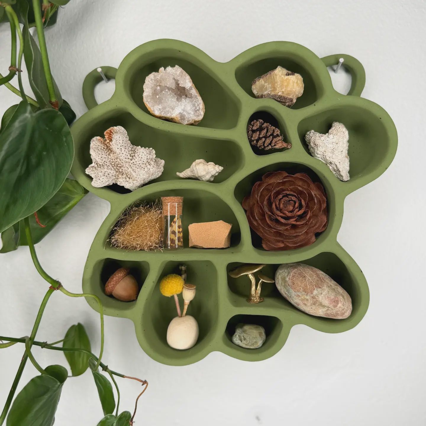 Cement Shelf of Inspiration No. 2, Color: moss