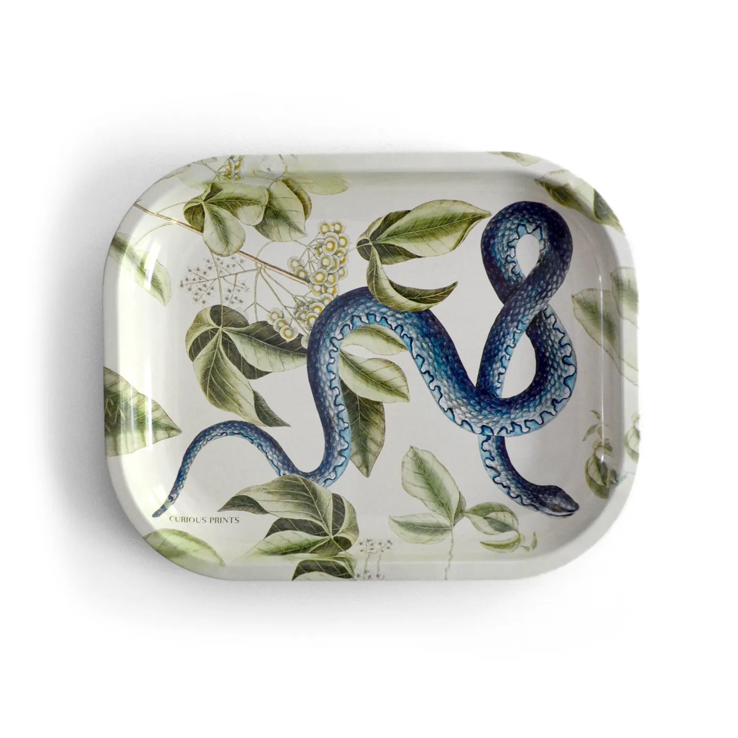 Small Metal Ritual Tray | Blue Snake