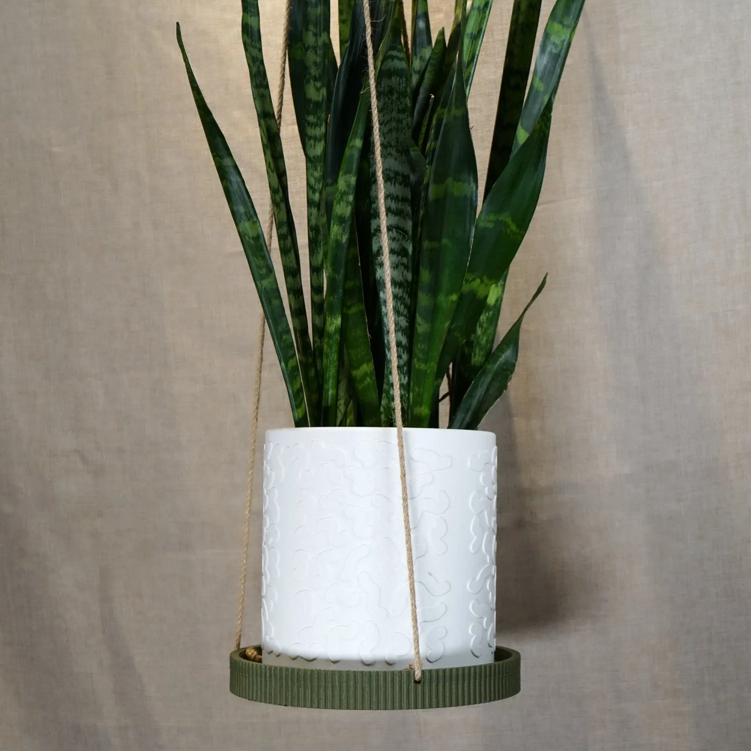 Minimalist Hanging Plant Tray | Green 8"