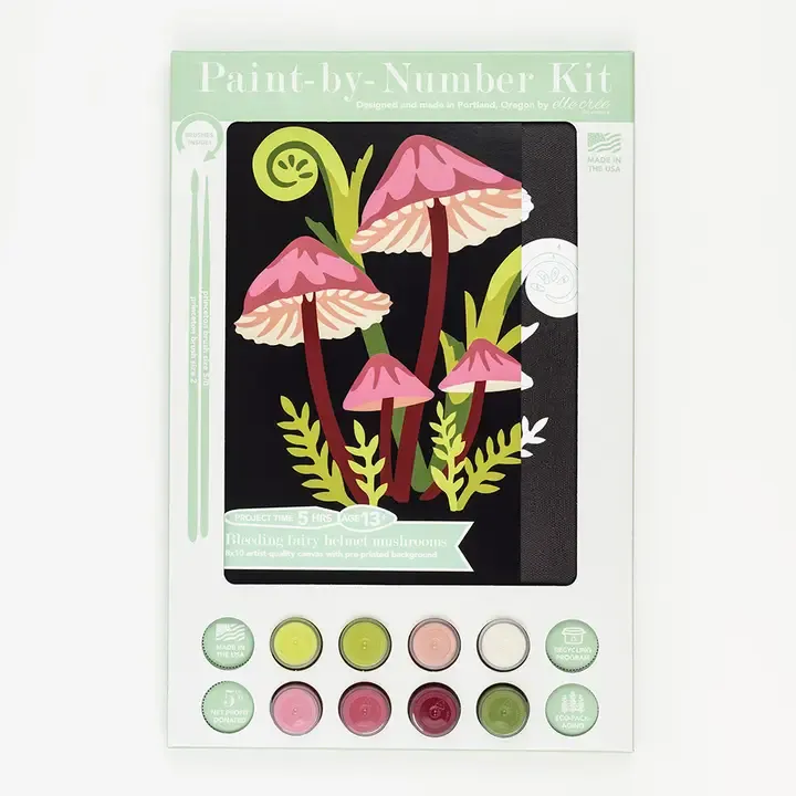 Paint-By-Number Kit