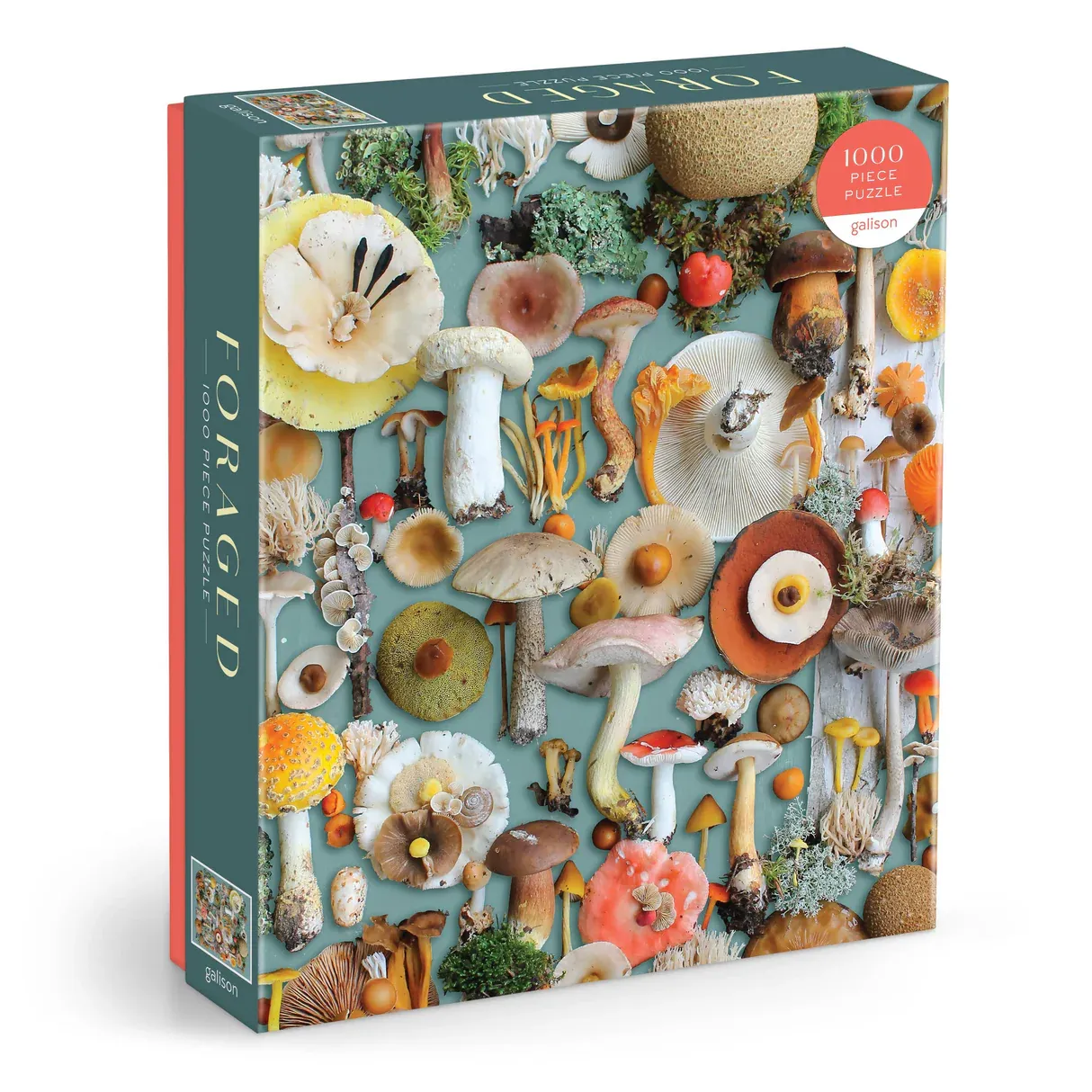Foraged 1000 Piece Puzzle / Mushrooms