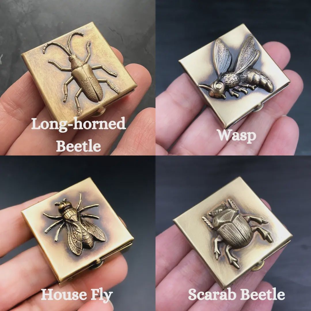 1.25 Square Brass Pill Box with Scarab Beetle
