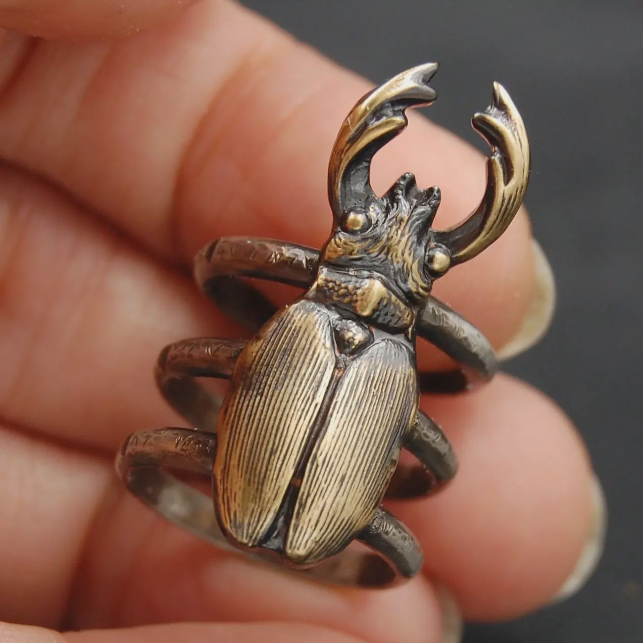 Sterling Silver and Brass Stag Beetle Ring