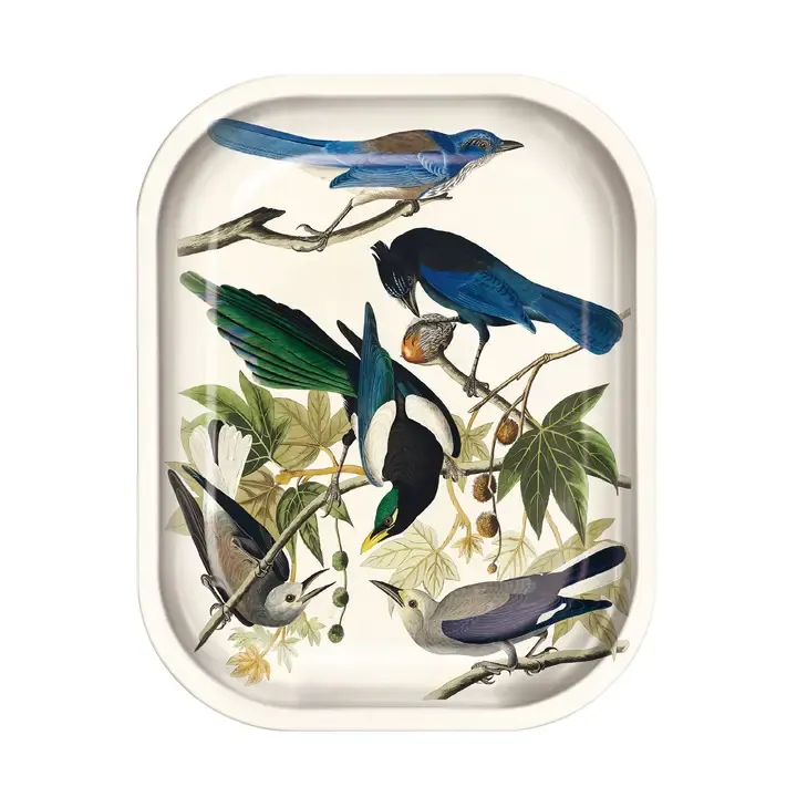 Small Metal Ritual Tray | Audubon Magpie