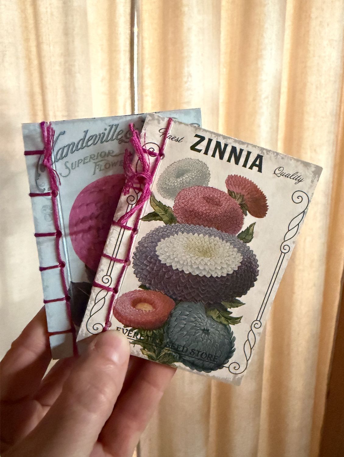 Seed Notebooks