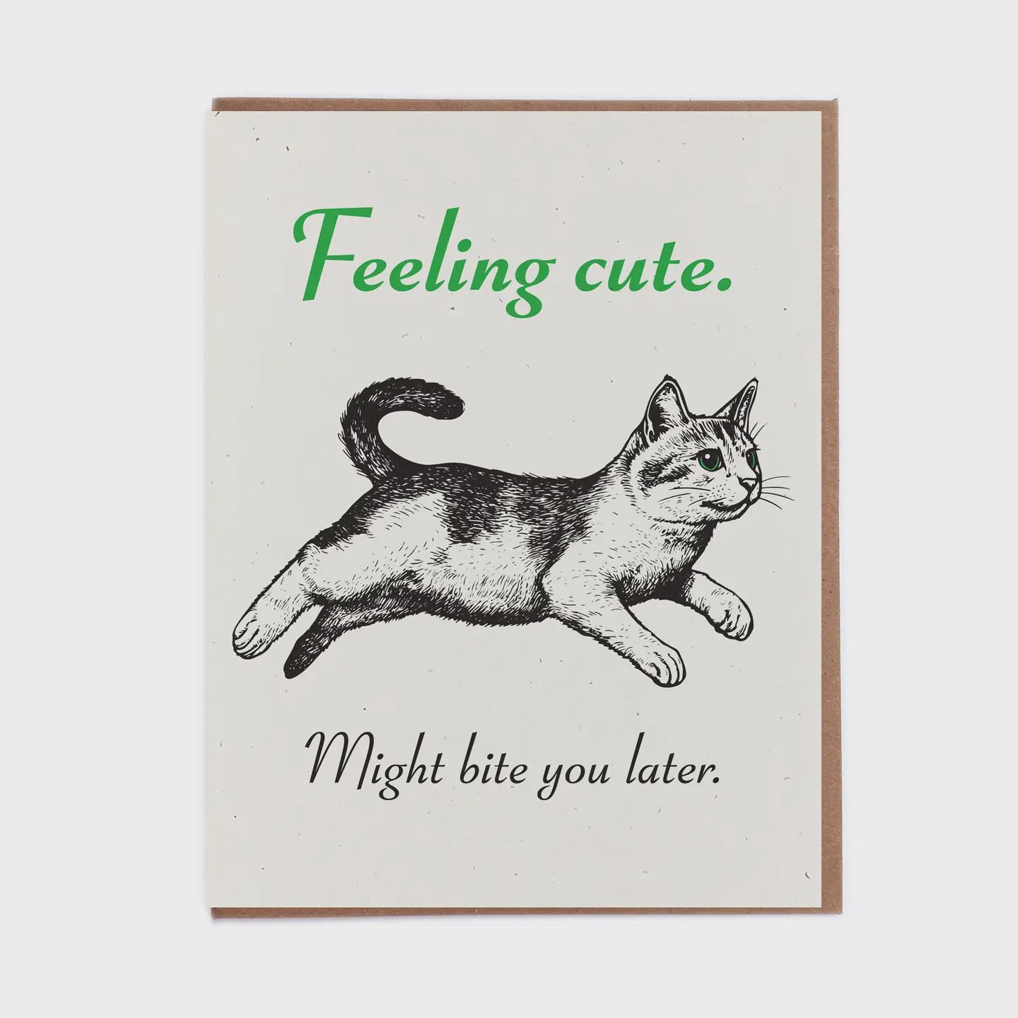 Lady Pilot Greeting Cards, design: Feeling Cute