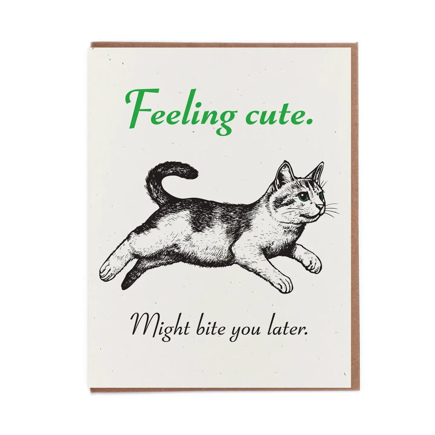 Lady Pilot Greeting Cards, design: Feeling Cute