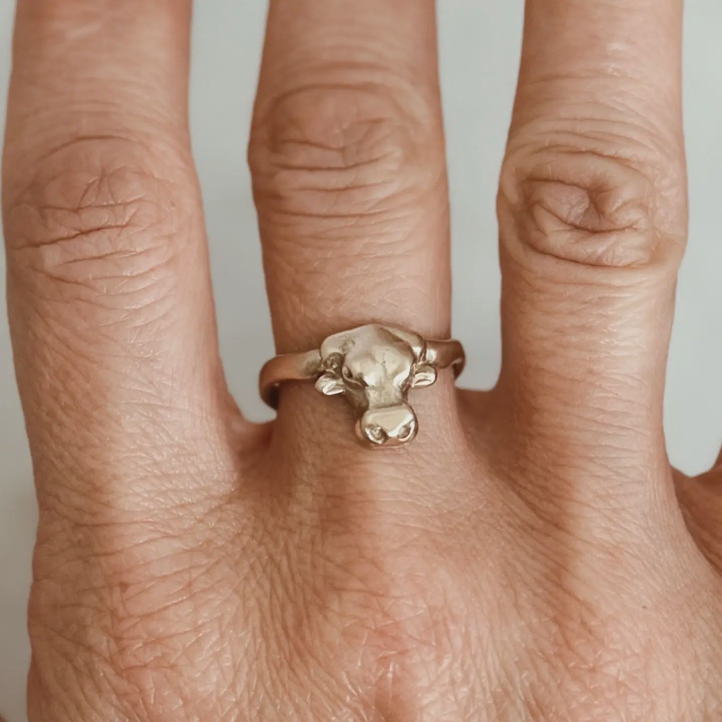 Longhorn Ring / Bronze