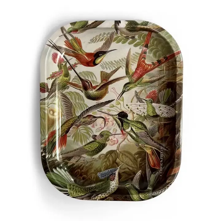 Small Metal Ritual Tray | Haeckel Hummingbirds