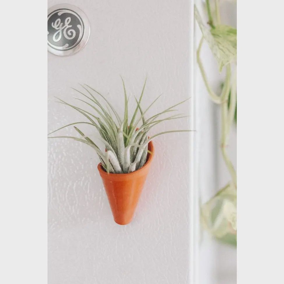 Tiny Ceramic Magnet Planter w/ airplant, Color: terracotta