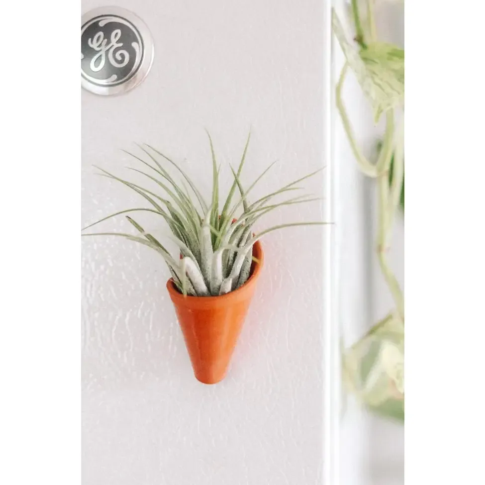 Tiny Ceramic Magnet Planter w/ airplant, Color: terracotta