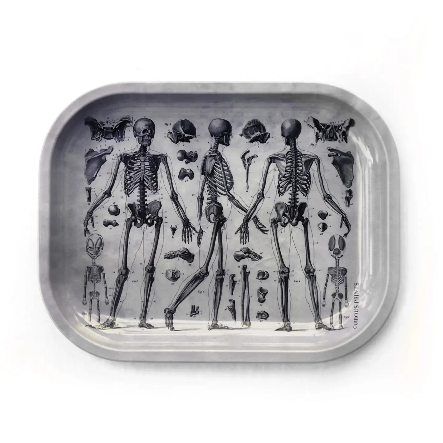 Small Metal Ritual Tray | Vintage Anatomy