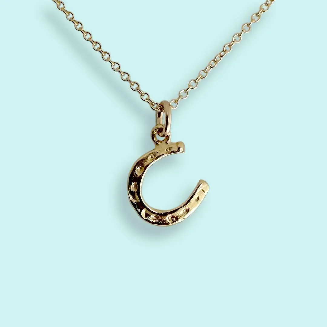 Tiny Horseshoe Necklace