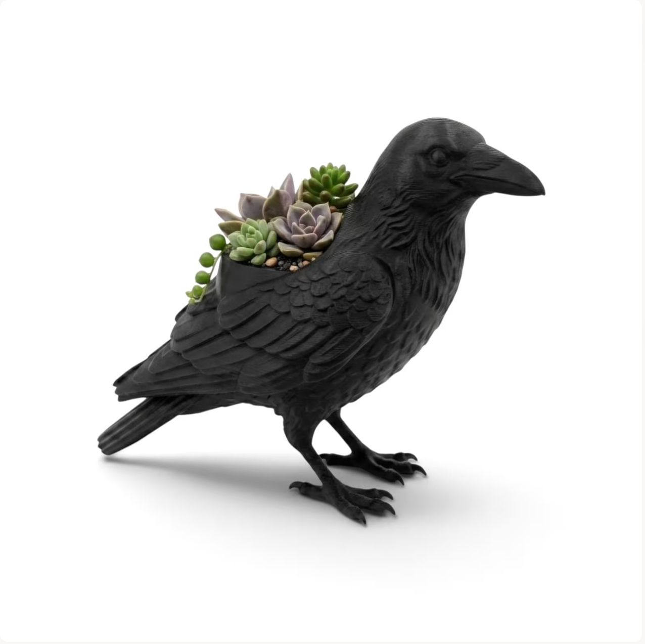 Crow Planter
