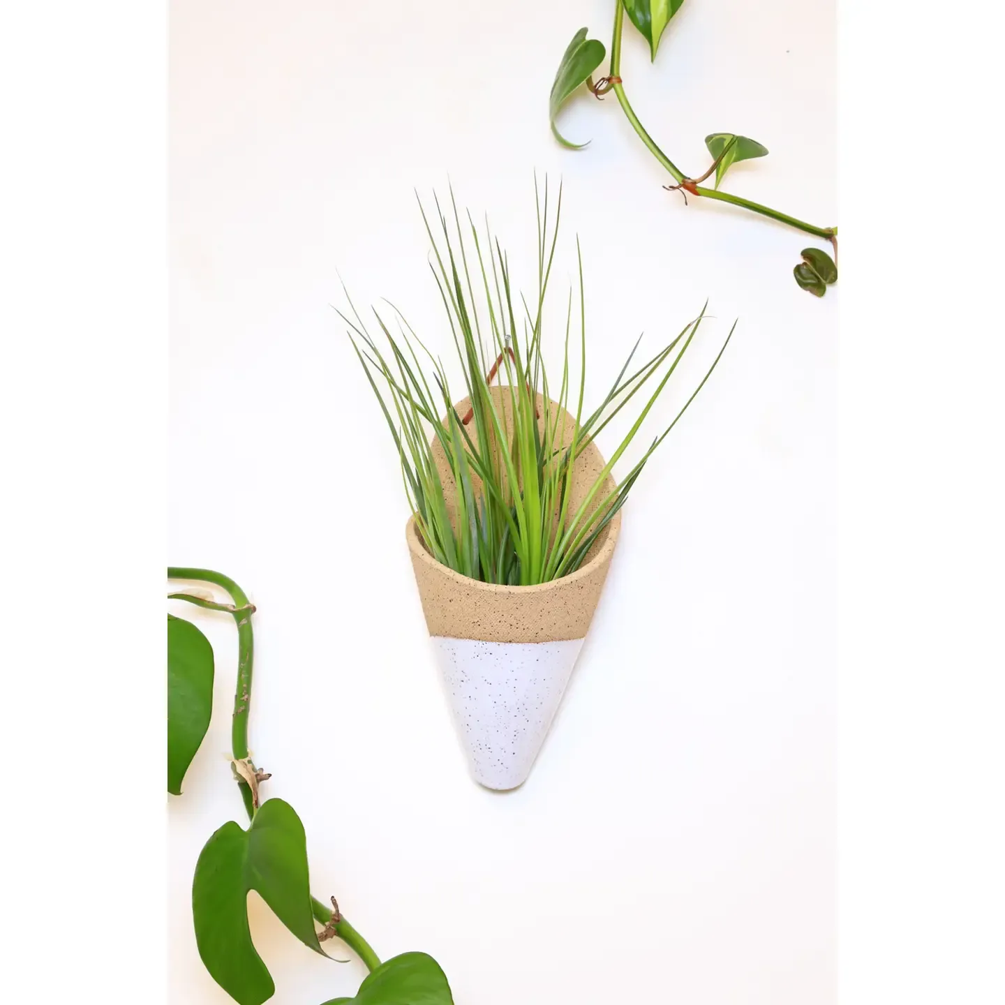 Large Ceramic Cone | Speckled White | with plant