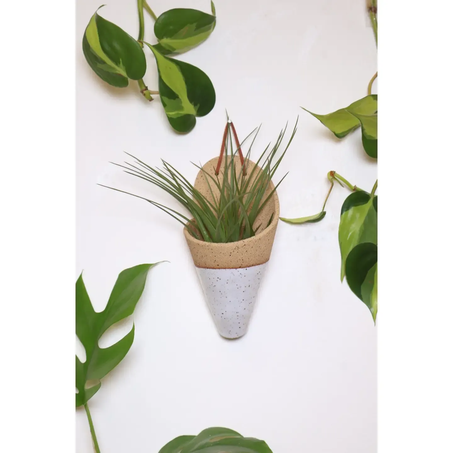 Medium Ceramic Cone | Speckled White | with plant