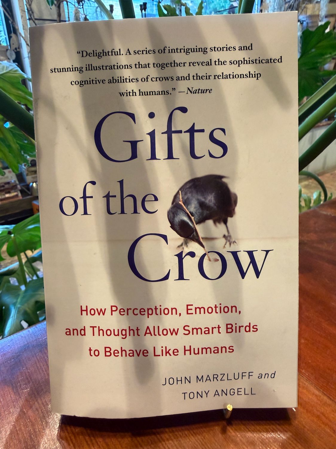 Gifts of the Crow By John Marzluff