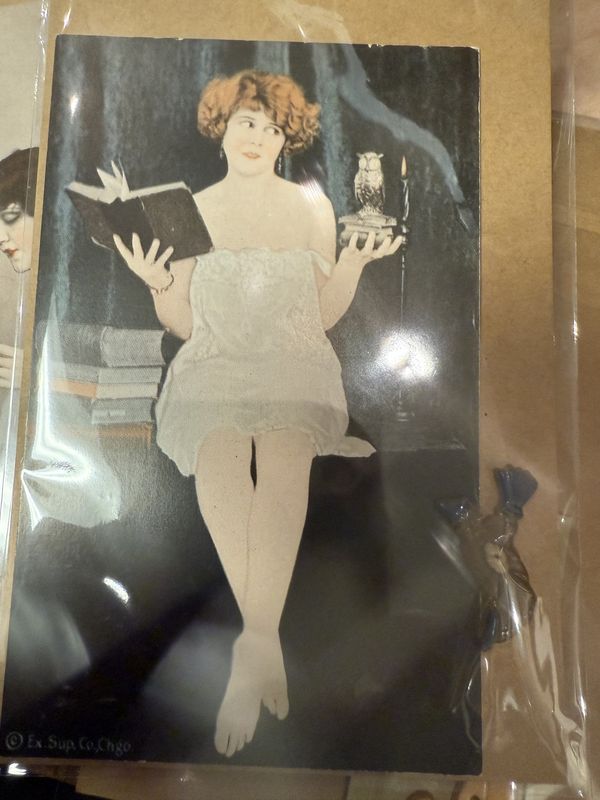 Chicago Expo. Arcade Deco Girly Card Owl Witch